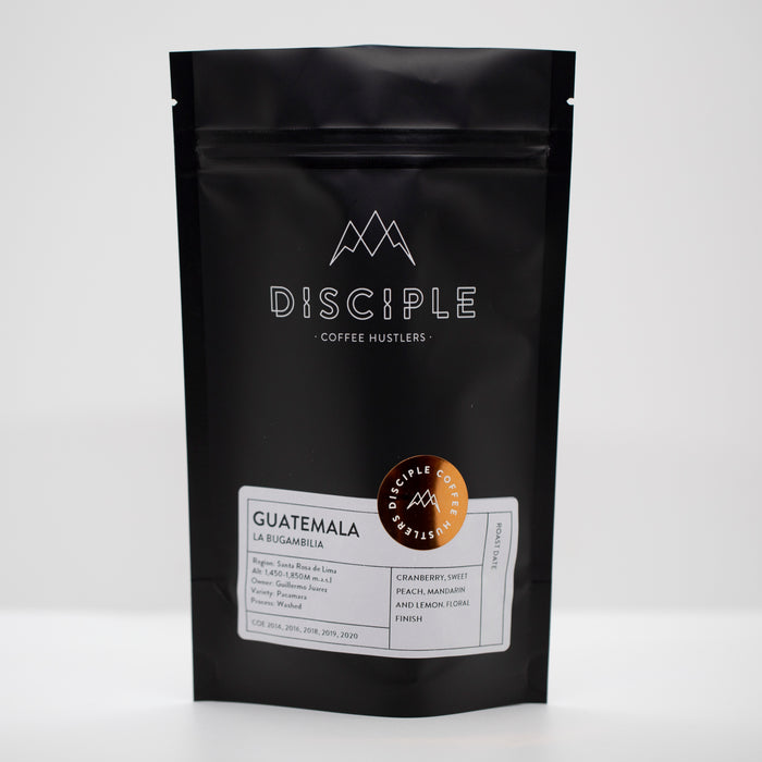 GUATEMALA - La Bugambilia / Washed