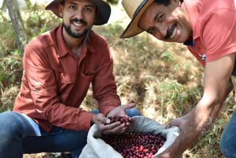 GUATEMALA - La Loma / Washed