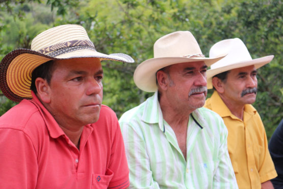 COLOMBIA - Small Producers of Urrao / Washed